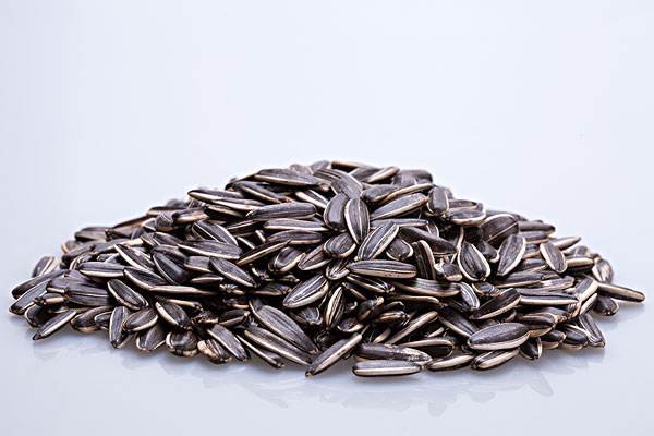 timg (2).jpg timg (2).jpg